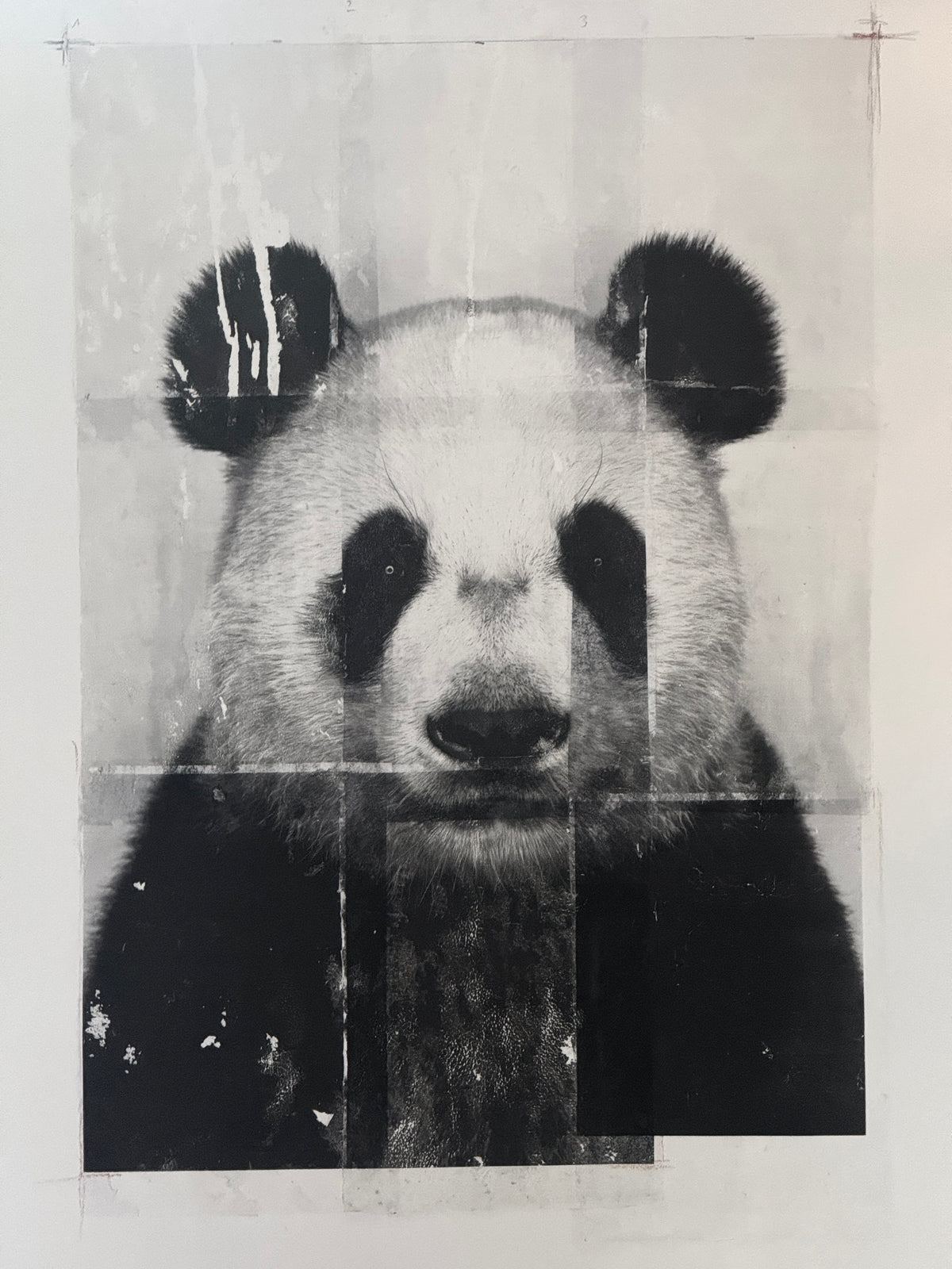 Der Panda  – Fine Artwork, Edition 1/7